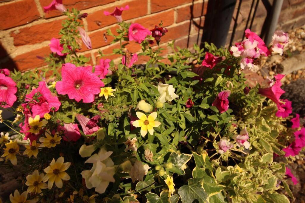 2 The Old Schoolhouse: En-suite, Hot Tub, Parking, Pets Holiday home *